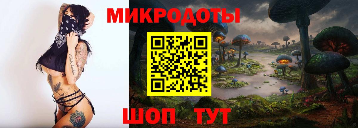 Калуга  хочу   Галлюциногенные грибы Psilocybe  Вход с VPN  Галлюциногенные грибы мицелий 